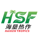 冻干咖啡